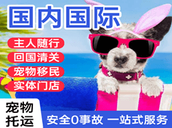 地窝堡空运地址国际宠物托运 【国